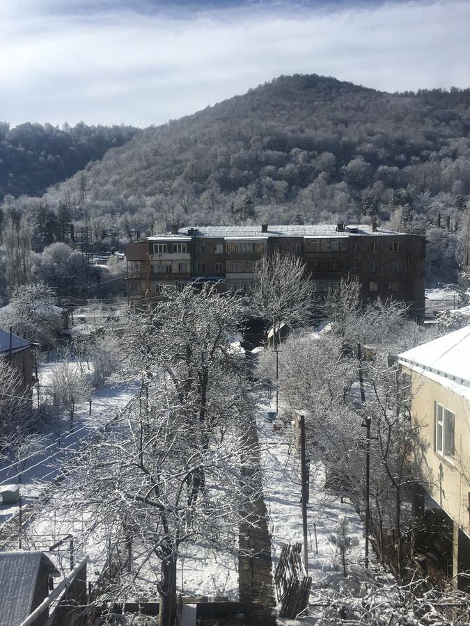 Areguni Guest House Dilijan Bagian luar foto