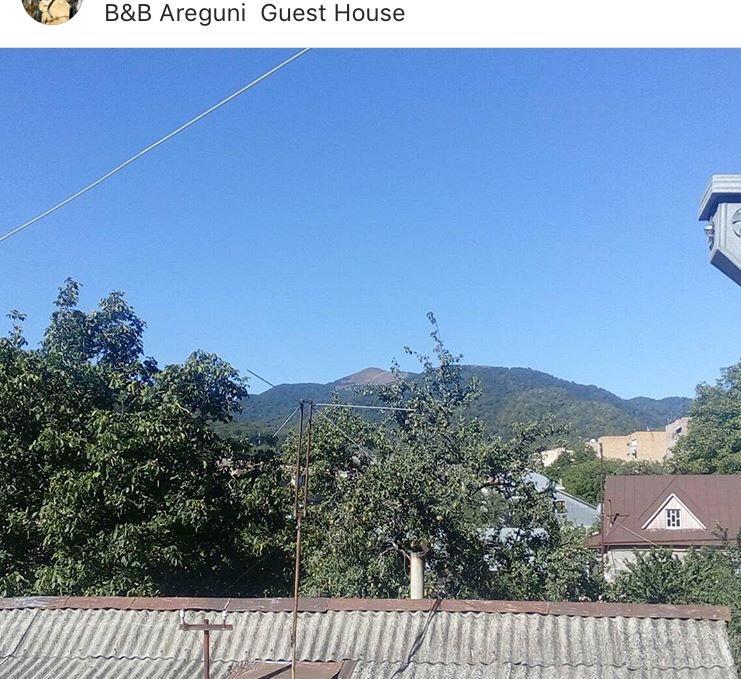 Areguni Guest House Dilijan Bagian luar foto